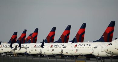delta airlines bold new decision